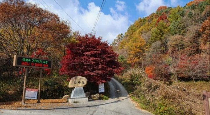 당일치기-단풍여행