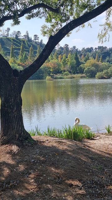 순천만국가정원 어린이 동물원 서문 순천여행 24년 11월 사진