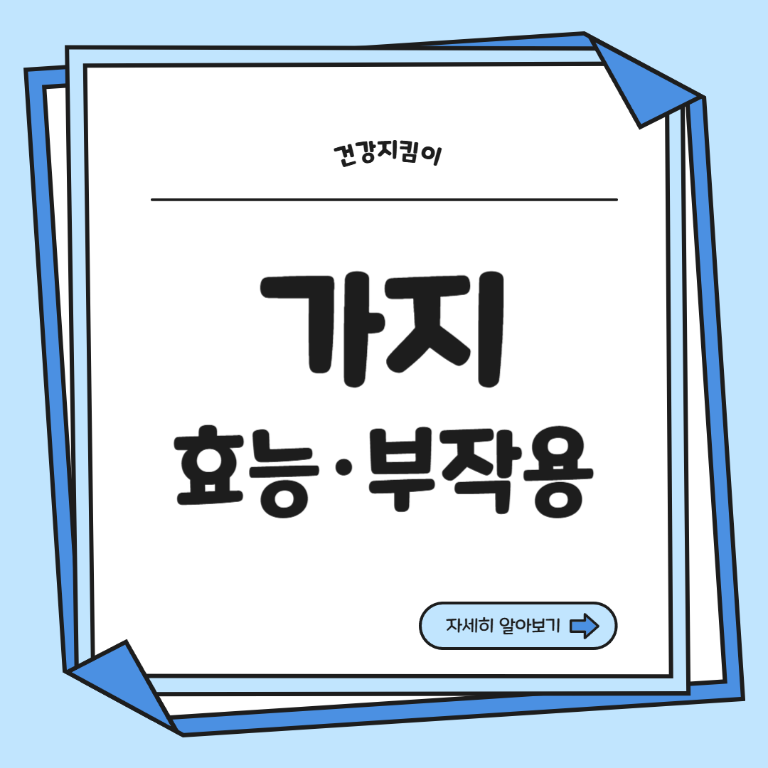 가지 효능 놀라운 9가지 부작용 고르는법 칼로리