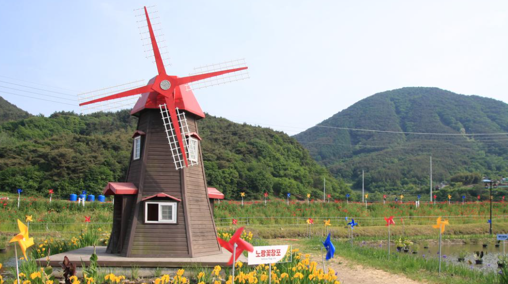 하동 양귀비 꽃 축제