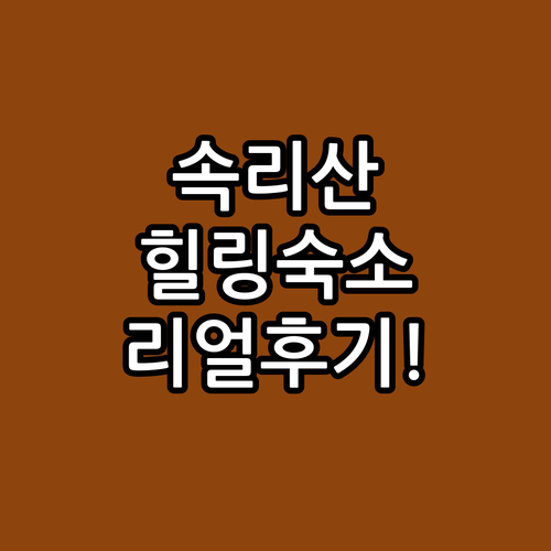 속리산 국립공원 주변 힐링 숙소 5곳..