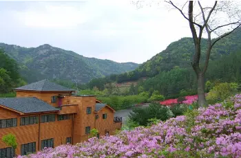 고산 자연휴양림_1