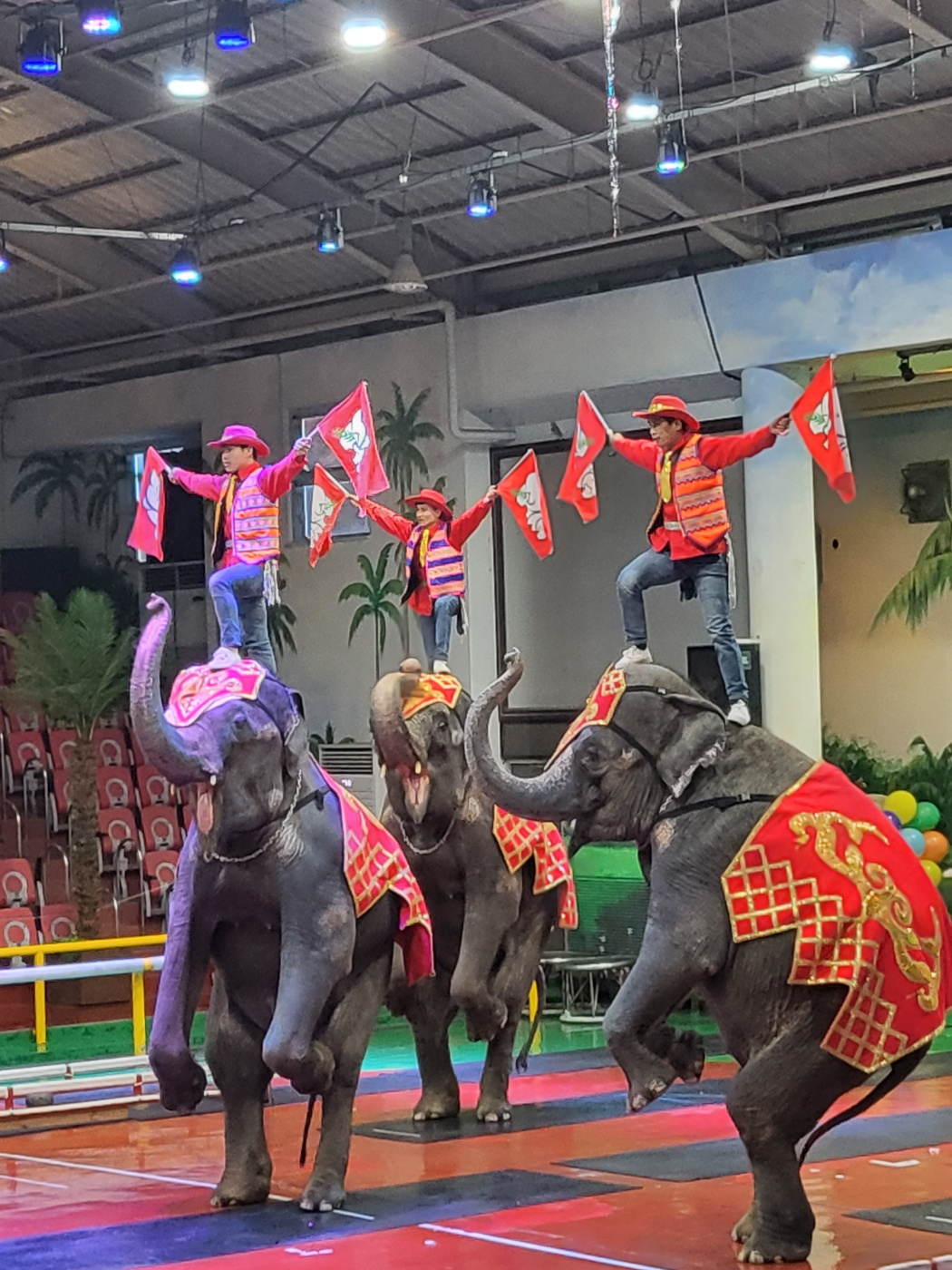 제주도 아이와가볼만한곳, 점보빌리지