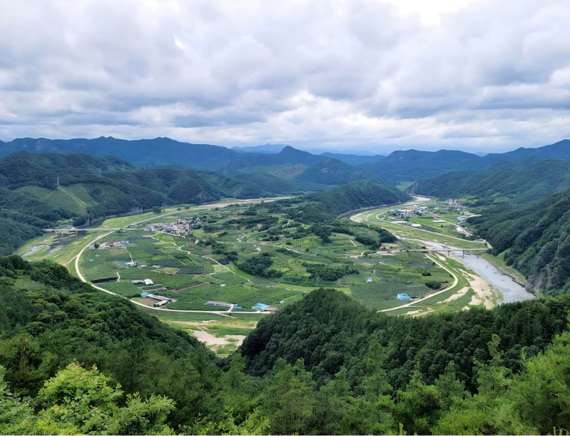 향로산 정상에서 본 풍경