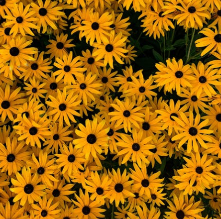 경기도 가볼만한곳 추천