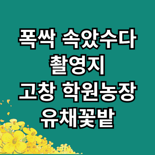 폭싹 속았수다 촬영지