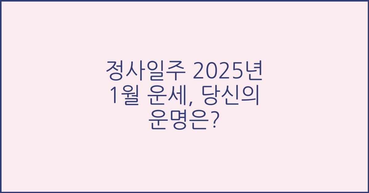 정사일주 2025년 1월 운세