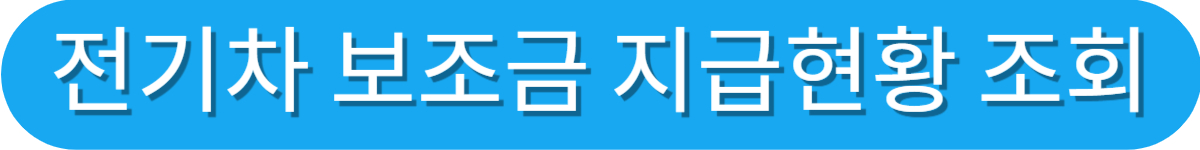 2025 전기차 보조금