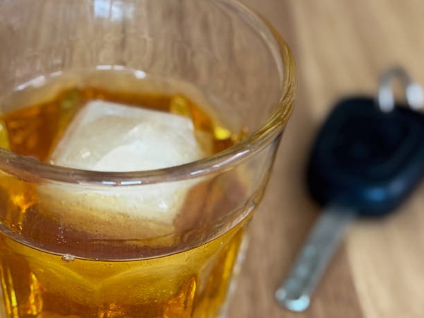 815-광복절-특별사면-운전면허-확인