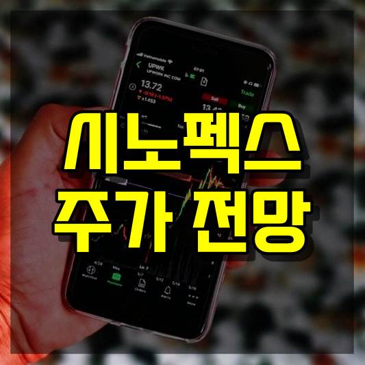 시노펙스 주가 전망