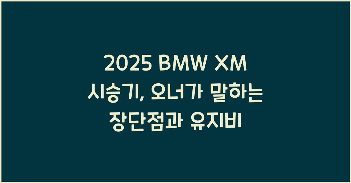 2025 BMW XM 시승기 제원 연비 장단점 유지비 오너평가