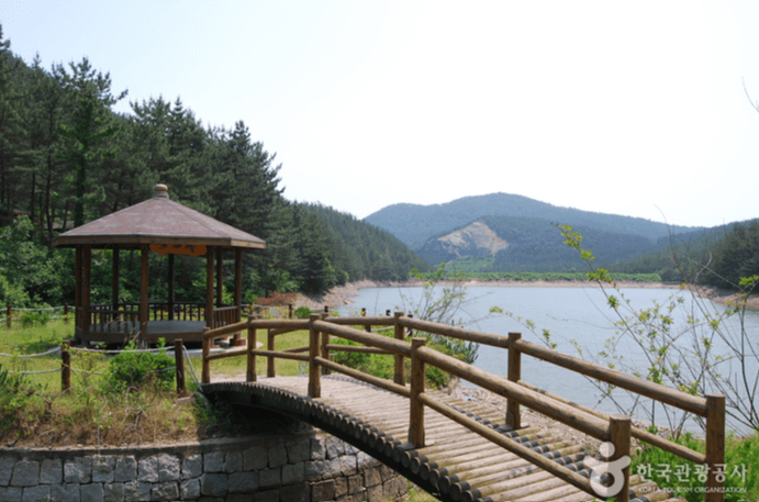 국립 희리산해송 자연휴양림