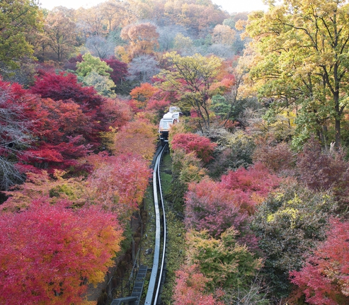 화담숲