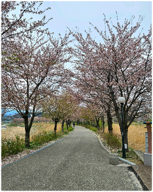 경포생태저류지