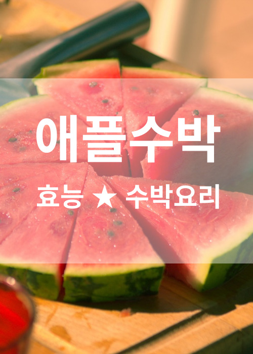 애플수박