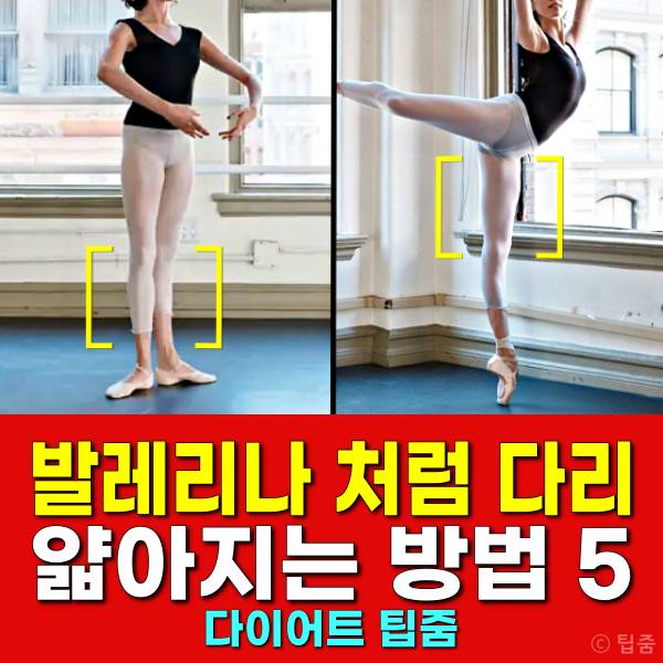 발레리나처럼 종아리 허벅지 다리 얇아지는 발레 동작