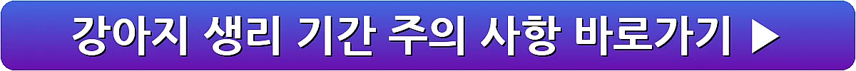 강아지 생리 기간 주의 사항_8