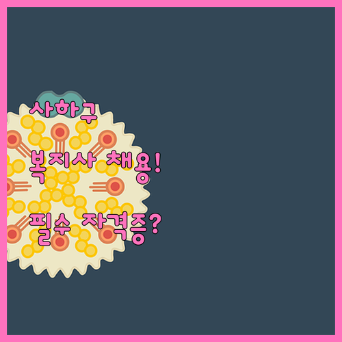 부산 사하구 시니어클럽 사회복지사 채..