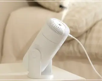 다이소-재고조회-방법