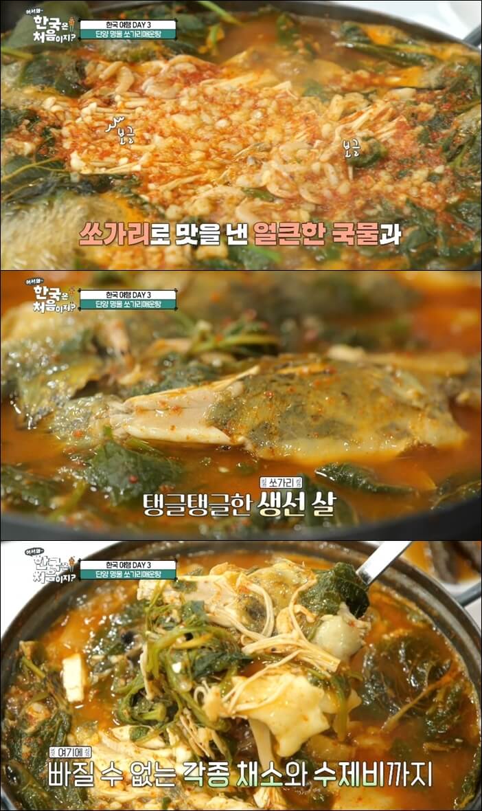 어서와-한국은-처음이지-쏘가리매운탕