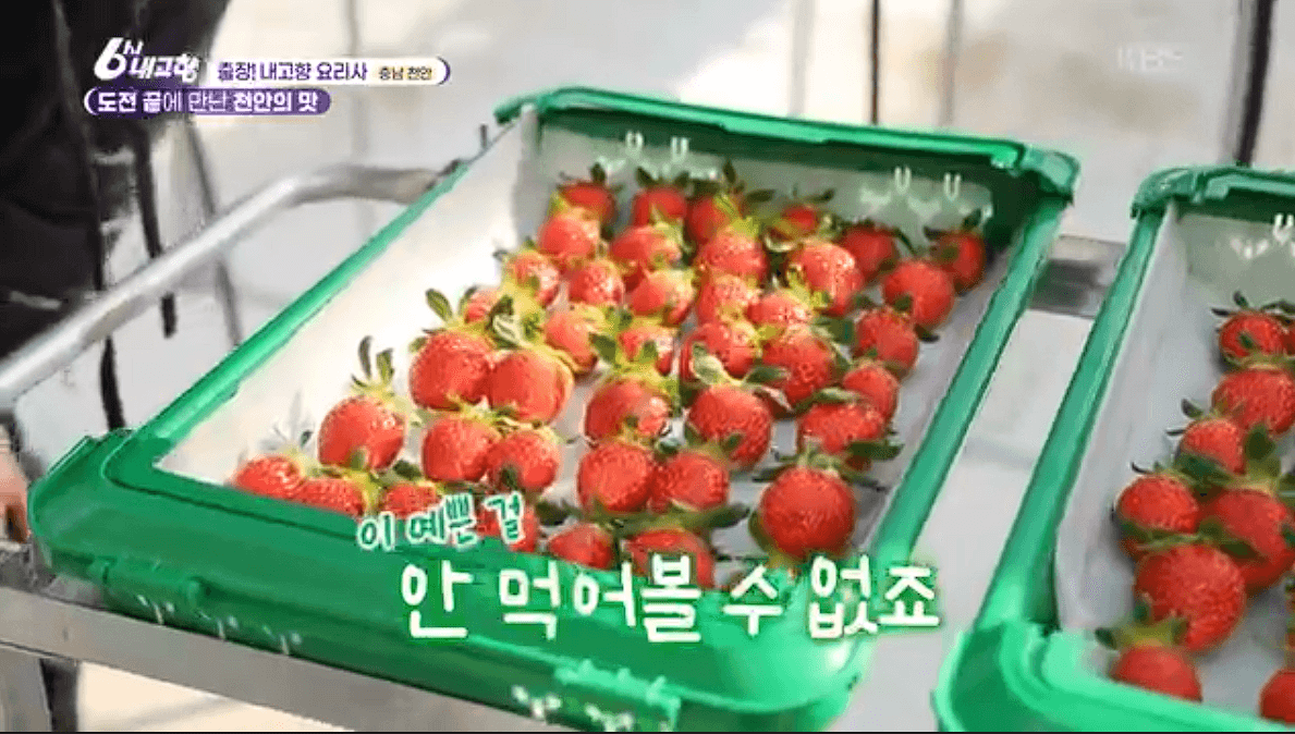 [6시내고향]충남 천안 참송이버섯 아산 딸기 &amp;#39;다울농장&amp;#44; 썬비딸기&amp;#39; 택배 판매 연락처 정보
