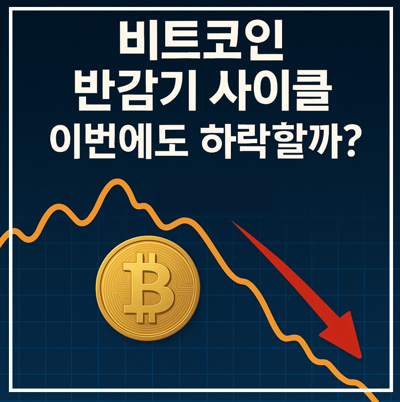 비트코인 반감기 사이클 이미지