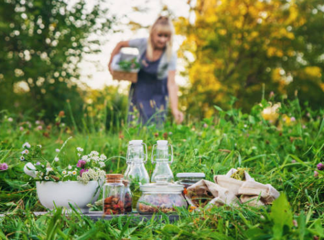 관절염과 허브·한방요법