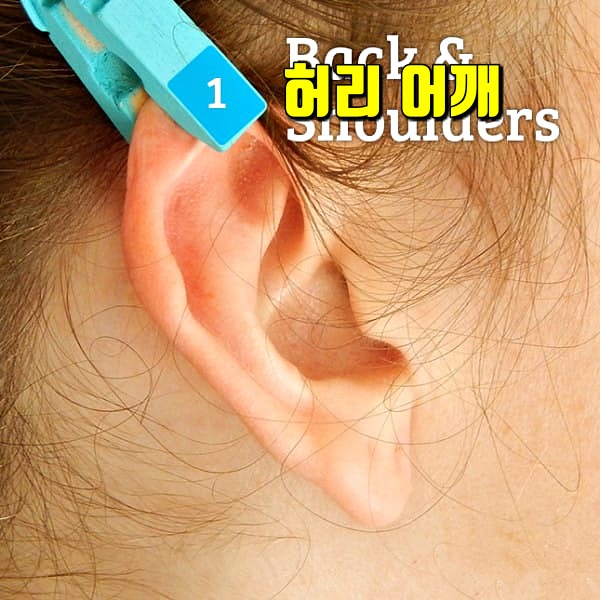 귀 지압점,피로에 좋은 지압법,팁줌