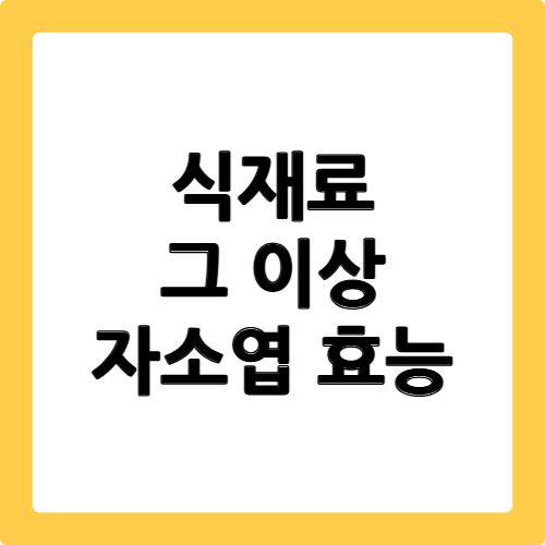 자소엽 효능