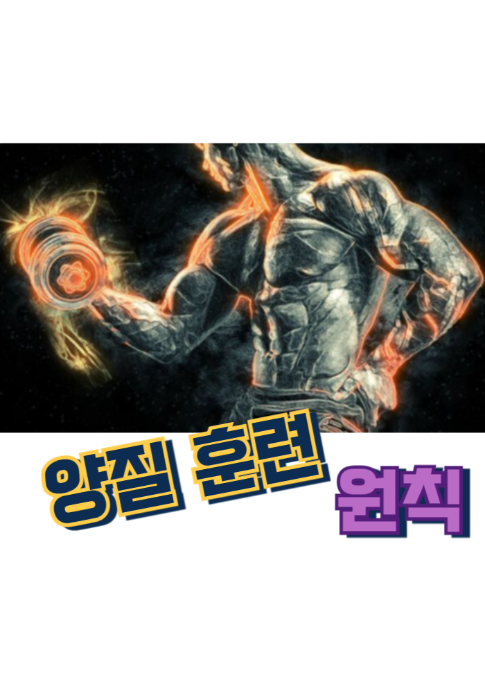 1.양질 훈련 원칙