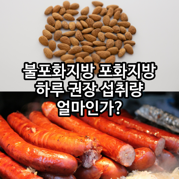 불포화지방 포화지방 하루 권장 섭취량