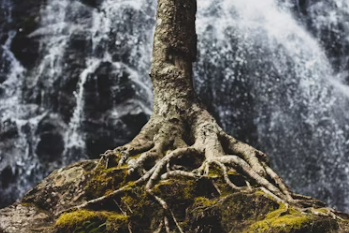 근저당 설정이란