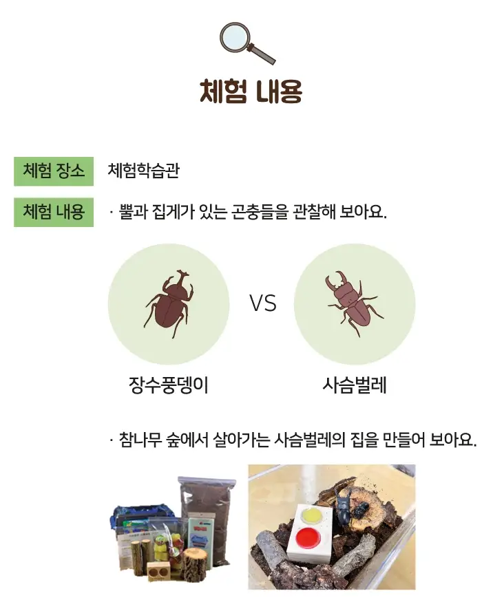 화담숲-봄-시즌-입장권-예매