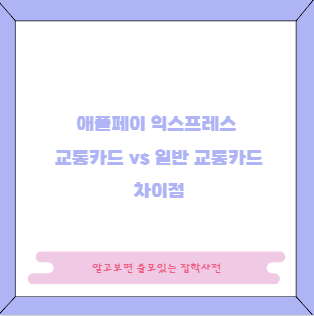 애플페이 익스프레스 교통카드 vs 일반 교통카드 차이점