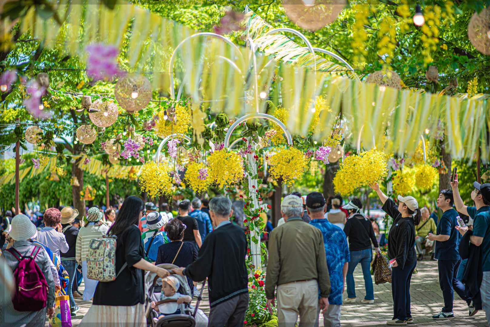 고양 꽃박람회 사전 예약 입장료 무료 입장 주차장 공연 이벤트(총정리)