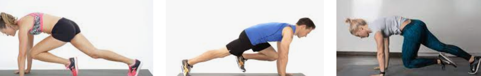 마운틴 클라이머 자세