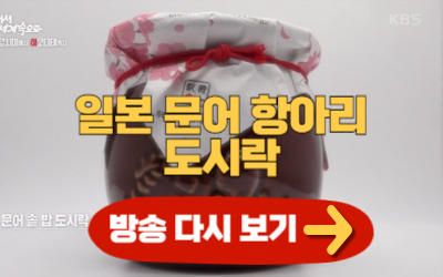 걸어서 세계속으로 850회 일본 문어 항아리 도시락 다시 보기