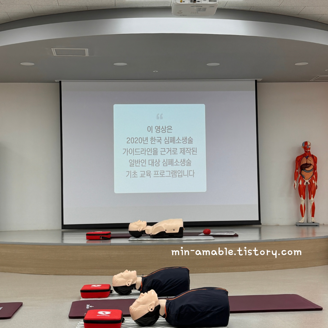 세종학당_CPR교육