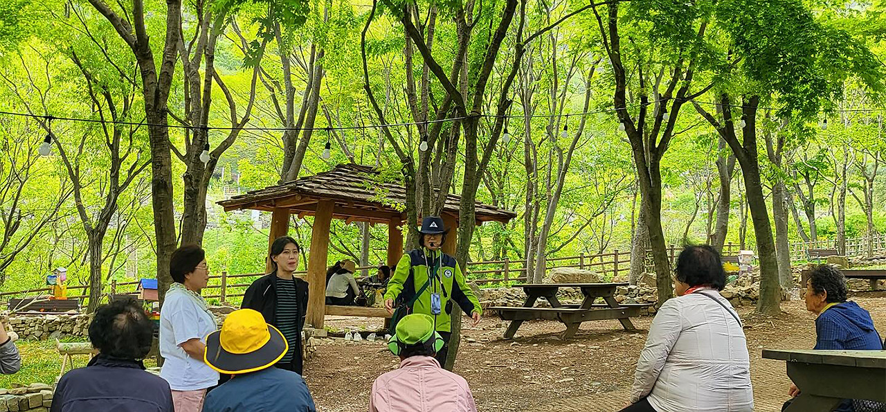 2025 월아산 수국정원 축제 완벽 가이드! 일정, 포토존, 프로그램 총정리(6.14~22)