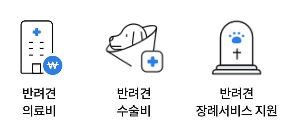 펫보험 비교