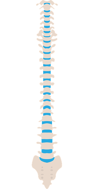 척추전방위증 증상