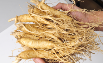 금산 삼계탕축제