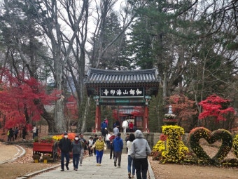 합천 해인사 단풍