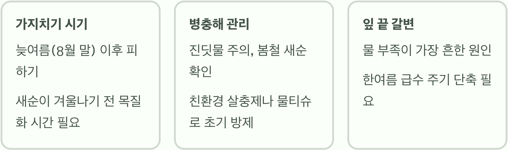 우리 집 화이트핑크셀릭스, 어떻게 하면 핑크빛 잎을 볼 수 있나요?
