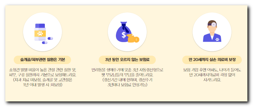 펫퍼민트-강아지보험