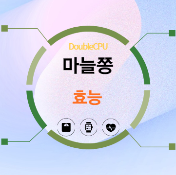 마늘쫑 효능 탐구