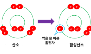 활성산소 줄이는 방법 알아보기