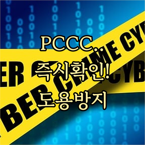 PCCC 간편 조회 즉시 확인 도용 ..