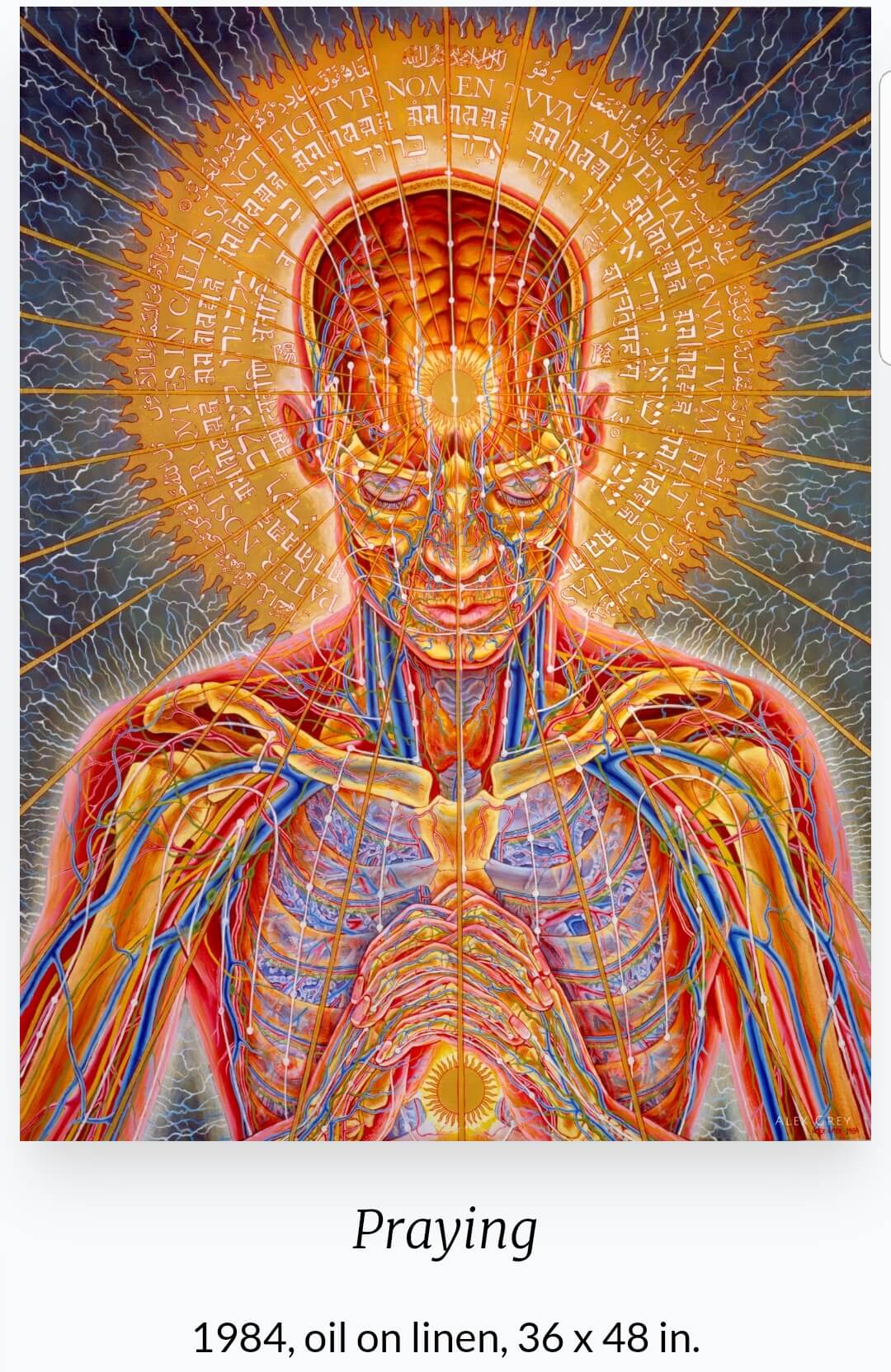 Alex Grey(1953~ ) 작품 &#39;Praying&#39;