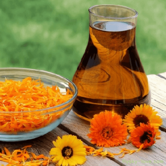 카렌듈라 (Calendula) 오일